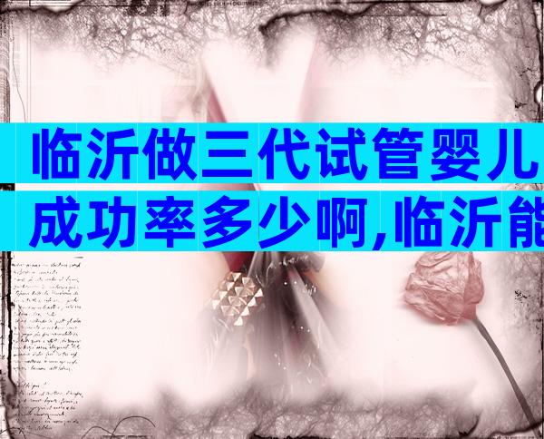 临沂做三代试管婴儿成功率多少啊,临沂能做三代试管吗