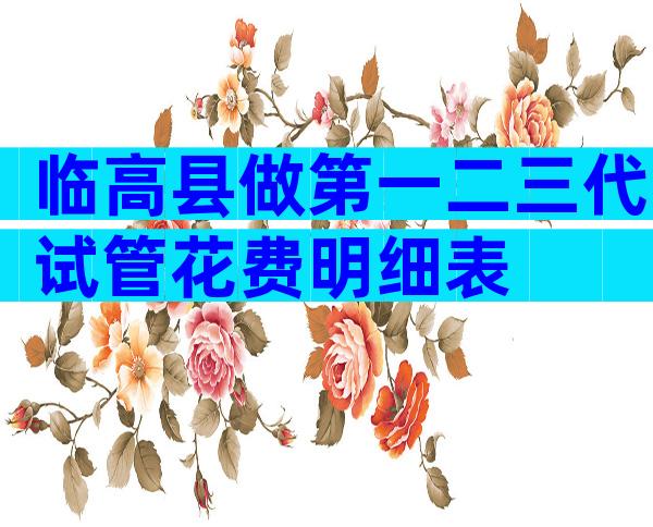 临高县做第一二三代试管花费明细表