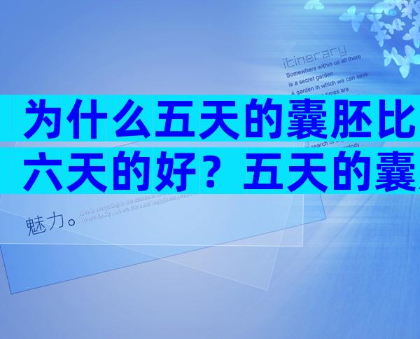 为什么五天的囊胚比六天的好？五天的囊胚和六天有什么区别？
