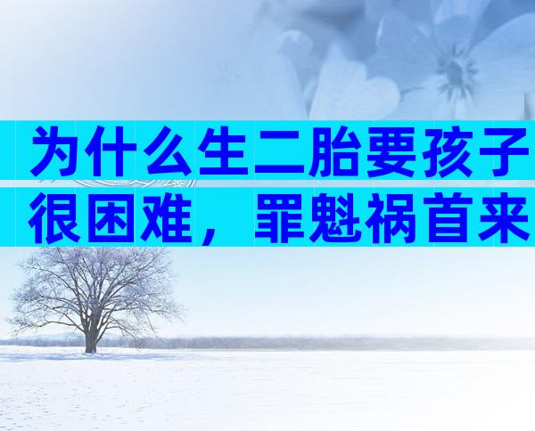 为什么生二胎要孩子很困难，罪魁祸首来自这三个方面