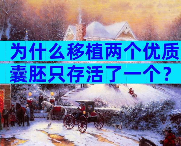 为什么移植两个优质囊胚只存活了一个？