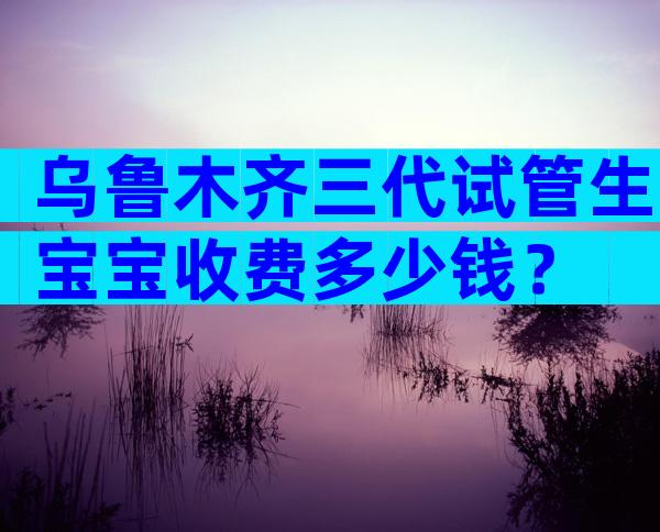 乌鲁木齐三代试管生宝宝收费多少钱？