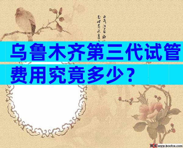 乌鲁木齐第三代试管费用究竟多少？