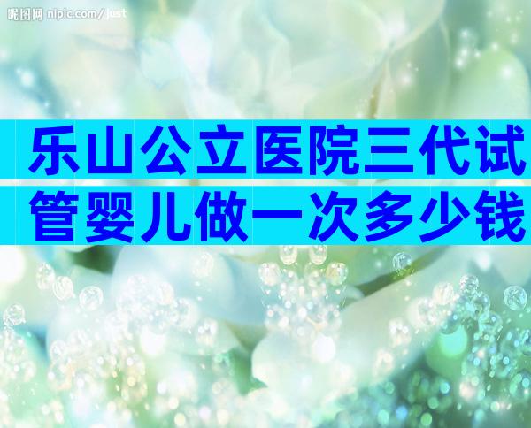乐山公立医院三代试管婴儿做一次多少钱？费用构成信息出炉