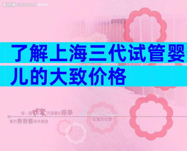 了解上海三代试管婴儿的大致价格