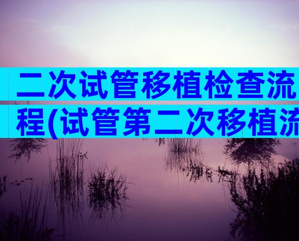 二次试管移植检查流程(试管第二次移植流程)