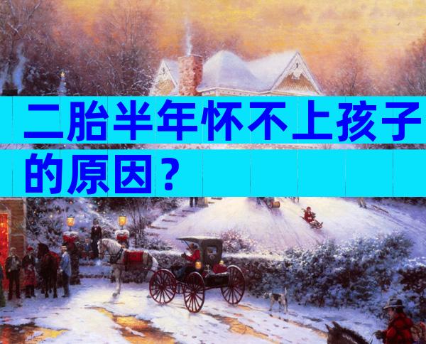 二胎半年怀不上孩子的原因？