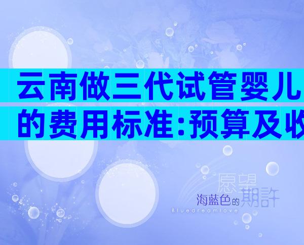 云南做三代试管婴儿的费用标准:预算及收费都在这里了!