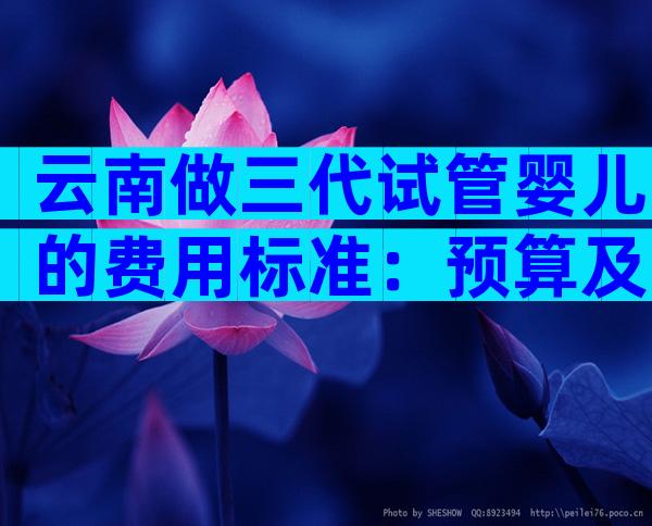 云南做三代试管婴儿的费用标准：预算及收费都在这里了！