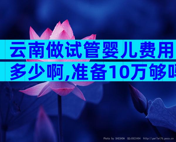 云南做试管婴儿费用多少啊,准备10万够吗？