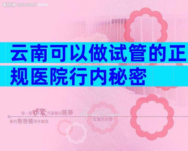 云南可以做试管的正规医院行内秘密