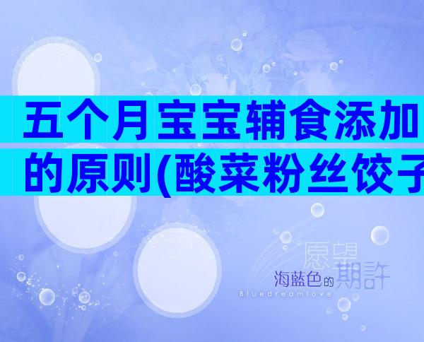 五个月宝宝辅食添加的原则(酸菜粉丝饺子)