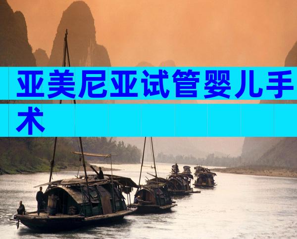 亚美尼亚试管婴儿手术