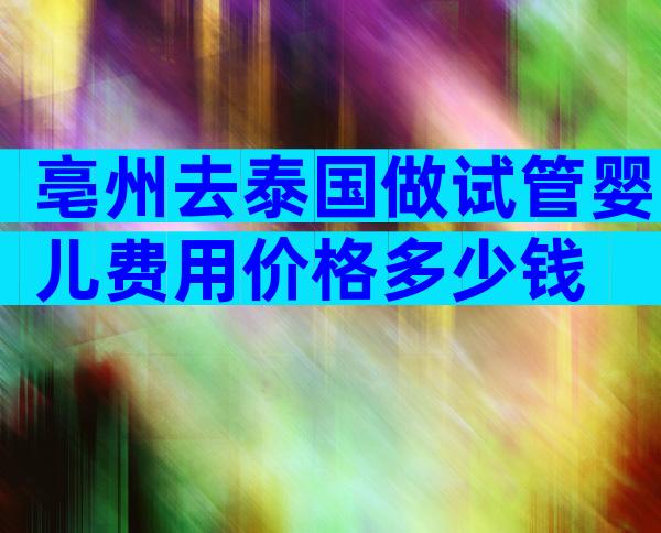 亳州去泰国做试管婴儿费用价格多少钱