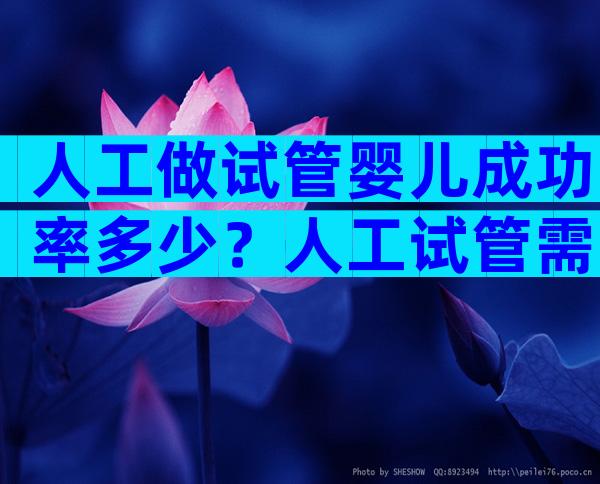 人工做试管婴儿成功率多少？人工试管需要什么条件？