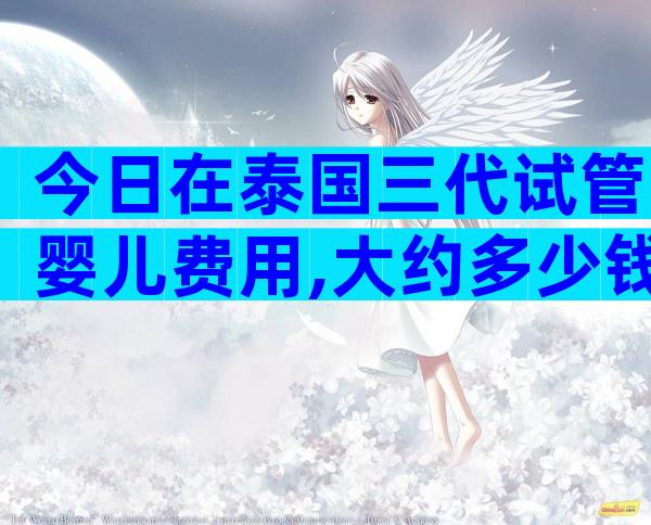 今日在泰国三代试管婴儿费用,大约多少钱一次