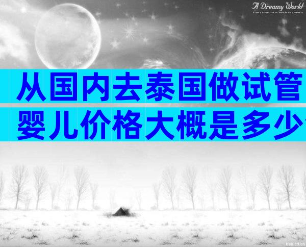 从国内去泰国做试管婴儿价格大概是多少钱