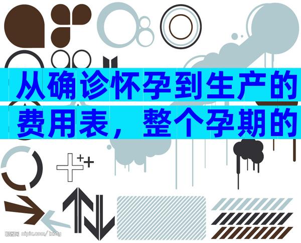 从确诊怀孕到生产的费用表，整个孕期的明细支出都在这