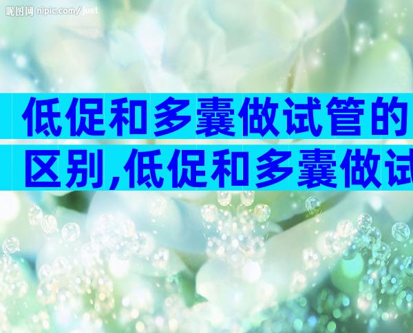 低促和多囊做试管的区别,低促和多囊做试管的区别大吗