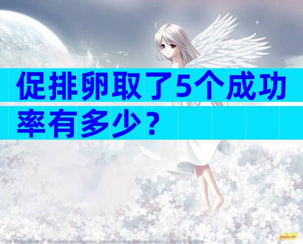 促排卵取了5个成功率有多少？