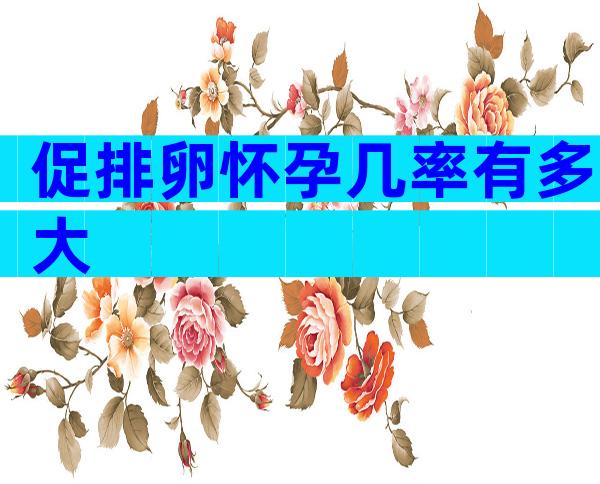 促排卵怀孕几率有多大