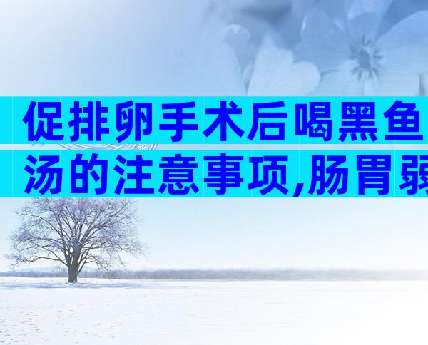 促排卵手术后喝黑鱼汤的注意事项,肠胃弱以喝汤为主