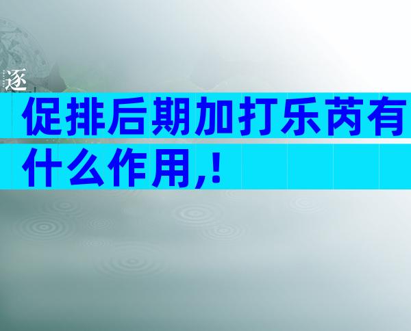 促排后期加打乐芮有什么作用,!