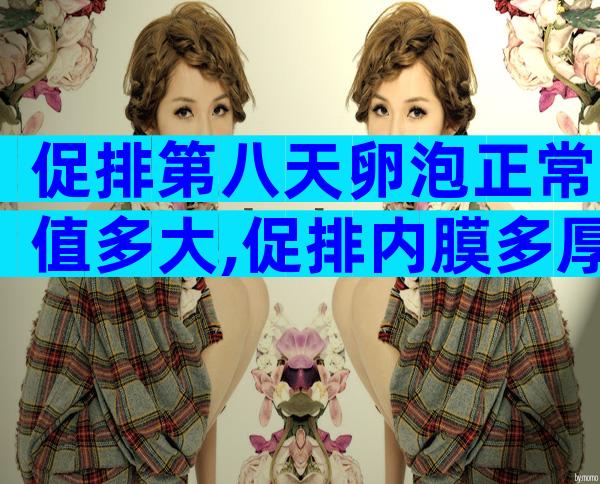 促排第八天卵泡正常值多大,促排内膜多厚算是正常的