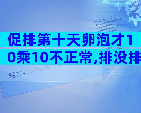 促排第十天卵泡才10乘10不正常,排没排抽血验雌二醇便知