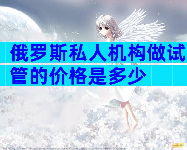 俄罗斯私人机构做试管的价格是多少