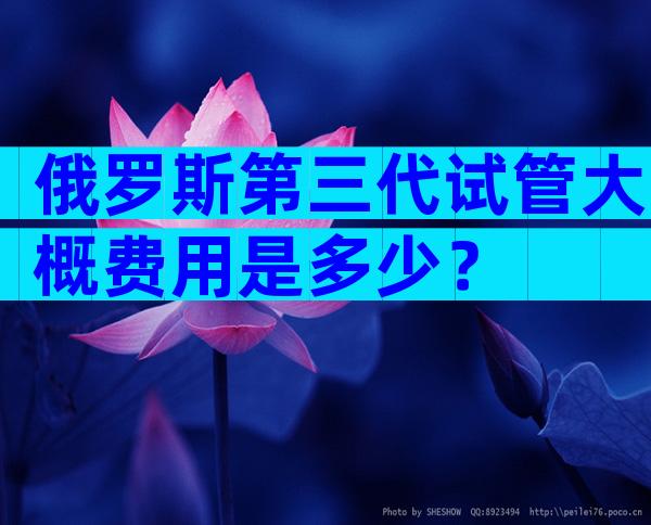 俄罗斯第三代试管大概费用是多少？
