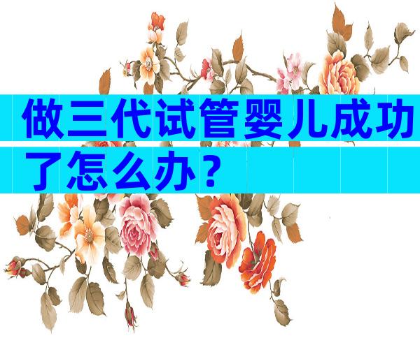 做三代试管婴儿成功了怎么办？