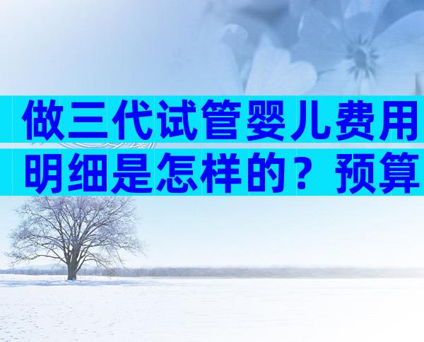 做三代试管婴儿费用明细是怎样的？预算30万绰绰有余