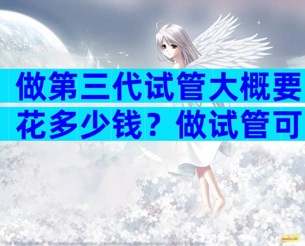 做第三代试管大概要花多少钱？做试管可以签套餐吗？