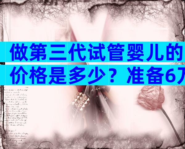 做第三代试管婴儿的价格是多少？准备6万元够吗？