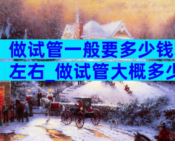 做试管一般要多少钱左右_做试管大概多少钱