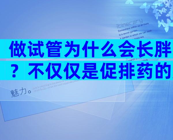 做试管为什么会长胖？不仅仅是促排药的原因！