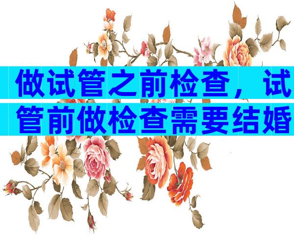 做试管之前检查，试管前做检查需要结婚证么