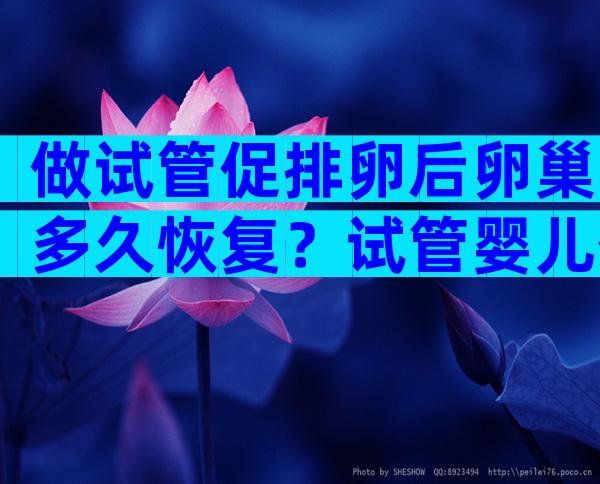 做试管促排卵后卵巢多久恢复？试管婴儿促排卵后卵巢增大怎么办？