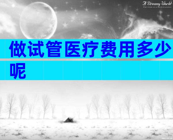 做试管医疗费用多少呢
