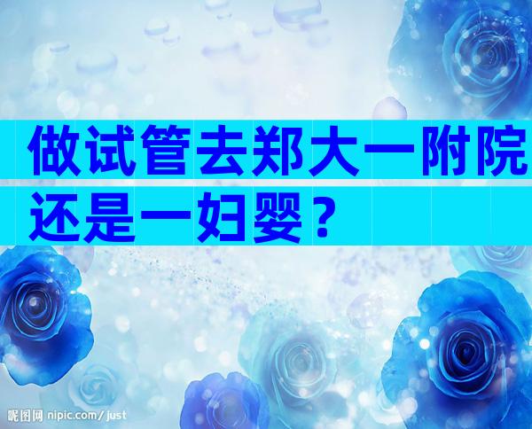 做试管去郑大一附院还是一妇婴？
