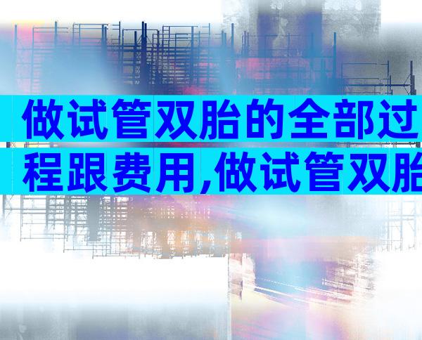 做试管双胎的全部过程跟费用,做试管双胎的全部过程跟费用有关吗