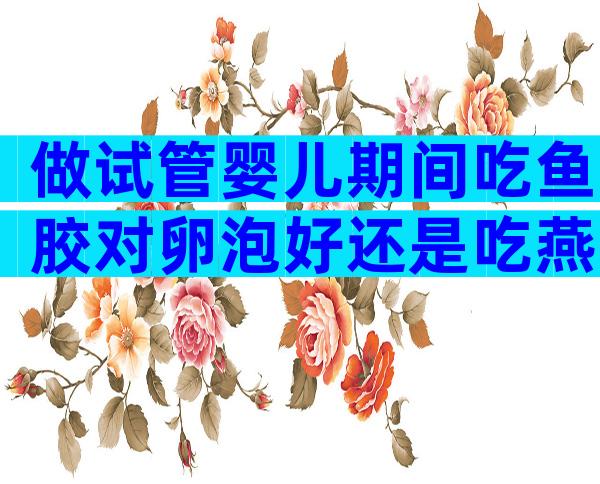 做试管婴儿期间吃鱼胶对卵泡好还是吃燕窝好？