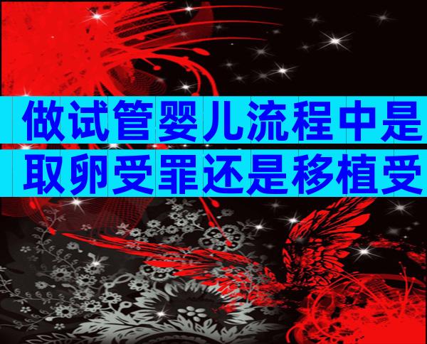 做试管婴儿流程中是取卵受罪还是移植受罪？