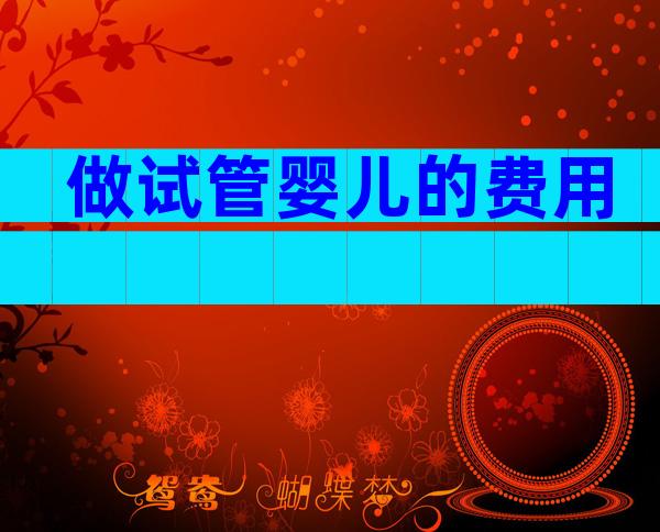 做试管婴儿的费用