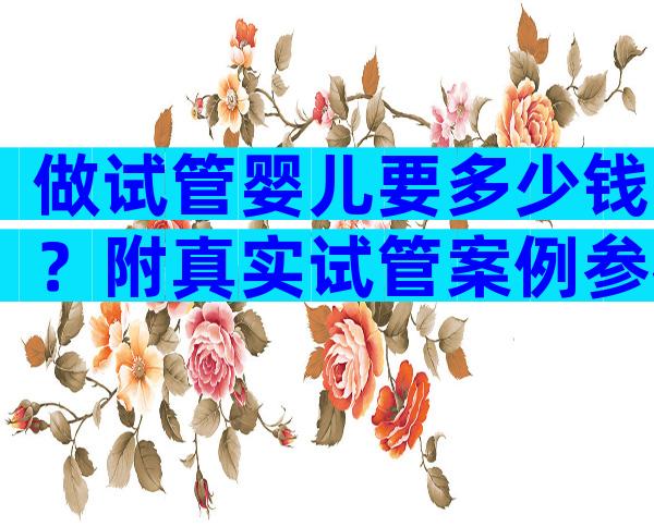 做试管婴儿要多少钱？附真实试管案例参考！