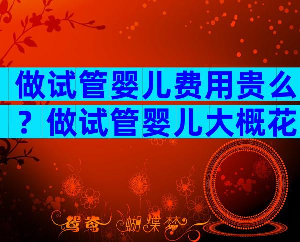做试管婴儿费用贵么？做试管婴儿大概花费