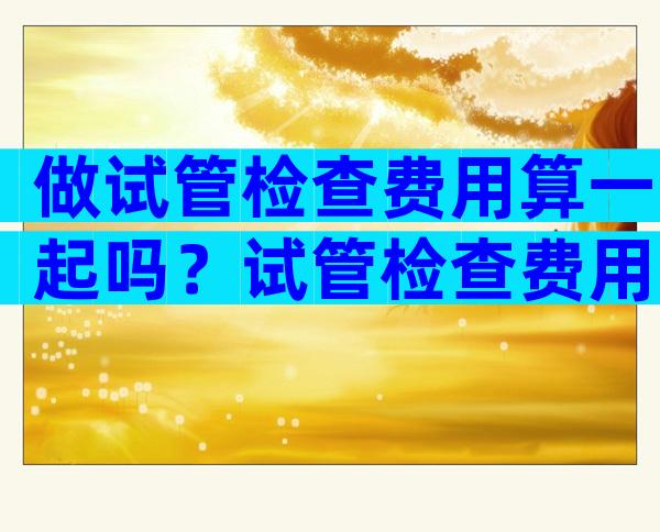 做试管检查费用算一起吗？试管检查费用明细去哪？