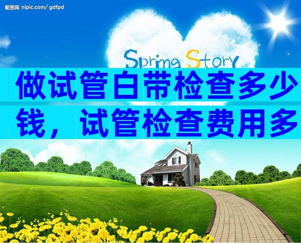 做试管白带检查多少钱，试管检查费用多少