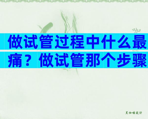 做试管过程中什么最痛？做试管那个步骤最疼？